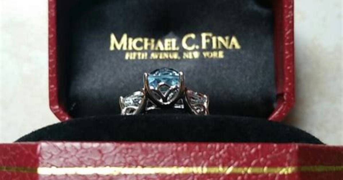 Michael C. Fina Net Worth