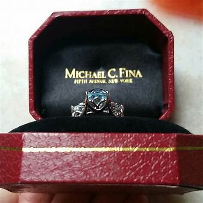 Michael C. Fina Net Worth