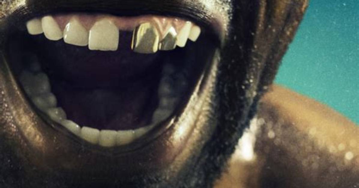 Mike Kinney | Rotten Tomatoes