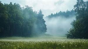 Mist
