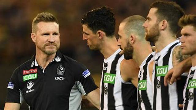Nathan Buckley Height, Weight, Net Worth, Age, Birthday, Wikipedia, Who, Nationality, Biography