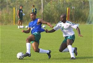 Nelson Veiga