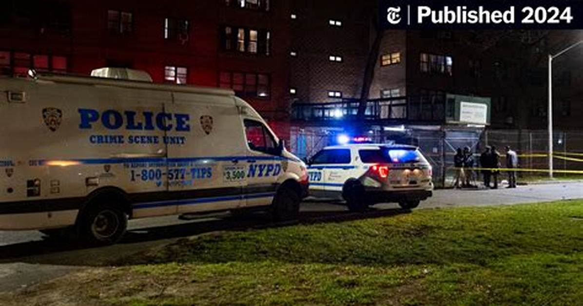 'New York Homicide' Crime Scene Reveals Gruesomely Shocking Clues in Linda Stein Murder [Exclusive Clip]