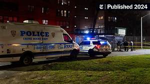 'New York Homicide' Crime Scene Reveals Gruesomely Shocking Clues in Linda Stein Murder [Exclusive Clip]