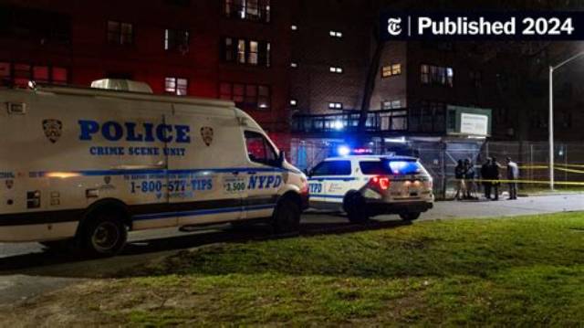 'New York Homicide' Crime Scene Reveals Gruesomely Shocking Clues in Linda Stein Murder [Exclusive Clip]