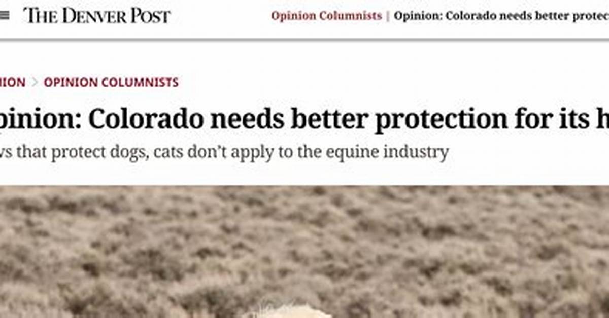 No Sheep’s Clothing Needed: Colorado Reintroduces Five Gray Wolves | Colorado