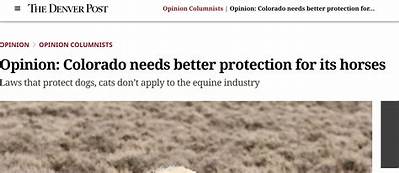 No Sheep’s Clothing Needed: Colorado Reintroduces Five Gray Wolves | Colorado