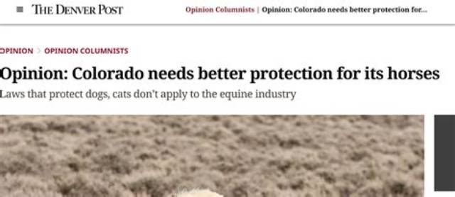 No Sheep’s Clothing Needed: Colorado Reintroduces Five Gray Wolves | Colorado