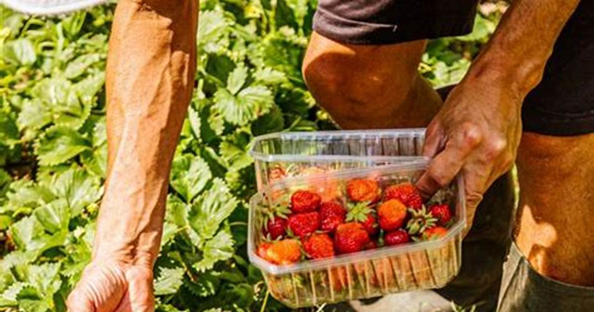 Ou Acheter Ses Fruits Et L%C3%A9Gumes 640. Jpg