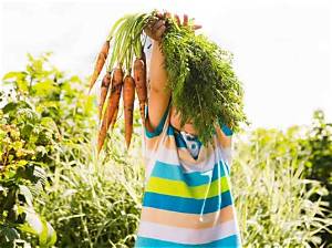 Ou Aller Cueillir Ses Fruits Et Legumes?