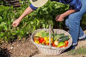 Ou Cueillir Des Fruits Et Legumes?