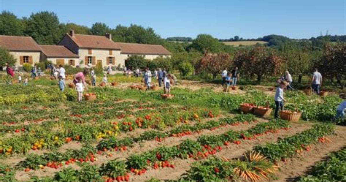 Ou Peut on Cueillir Ses Fruits Et Legumes?