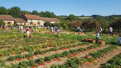 Ou Peut on Cueillir Ses Fruits Et Legumes?