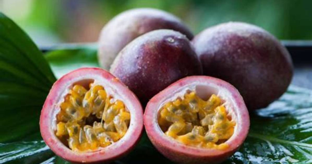 Ou Pousse Les Fruits De La Passion?