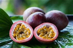 Ou Pousse Les Fruits De La Passion?