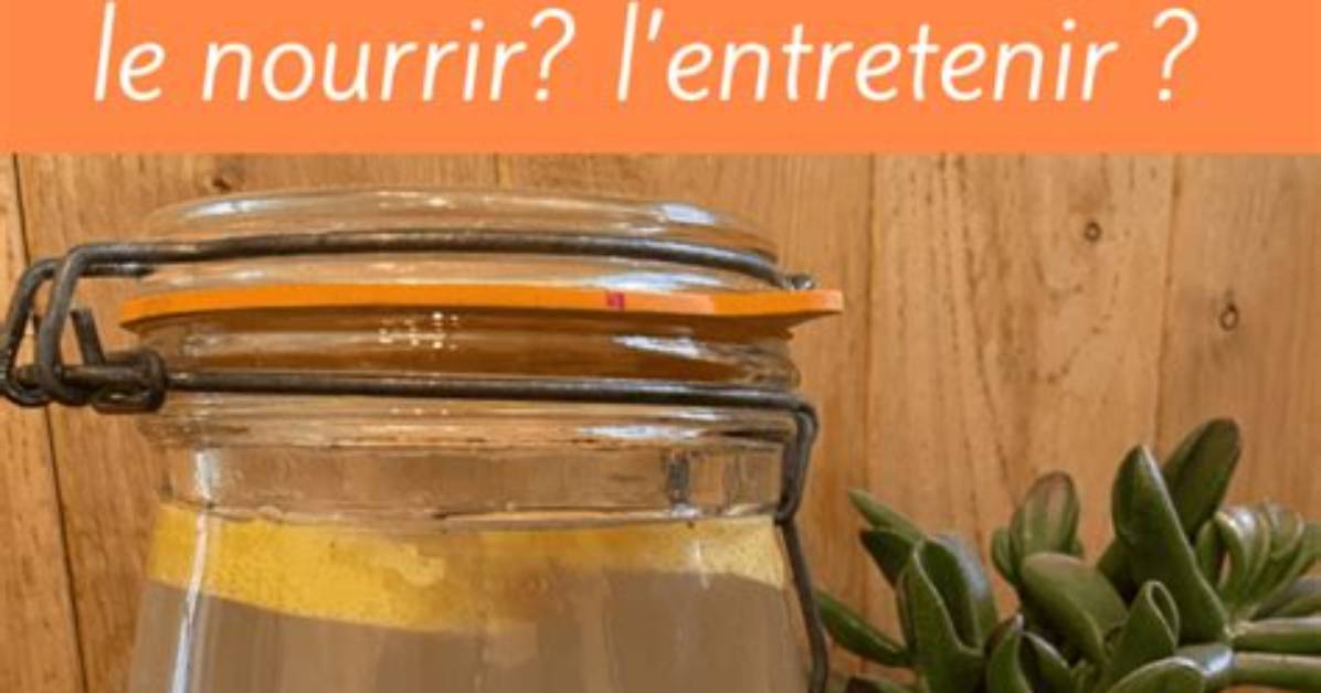 Ou Trouver Des Graines De Kefir De Fruits?