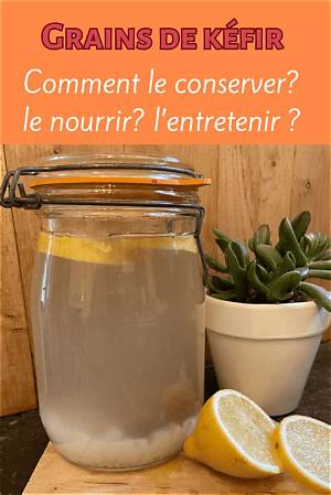 Ou Trouver Des Graines De Kefir De Fruits?