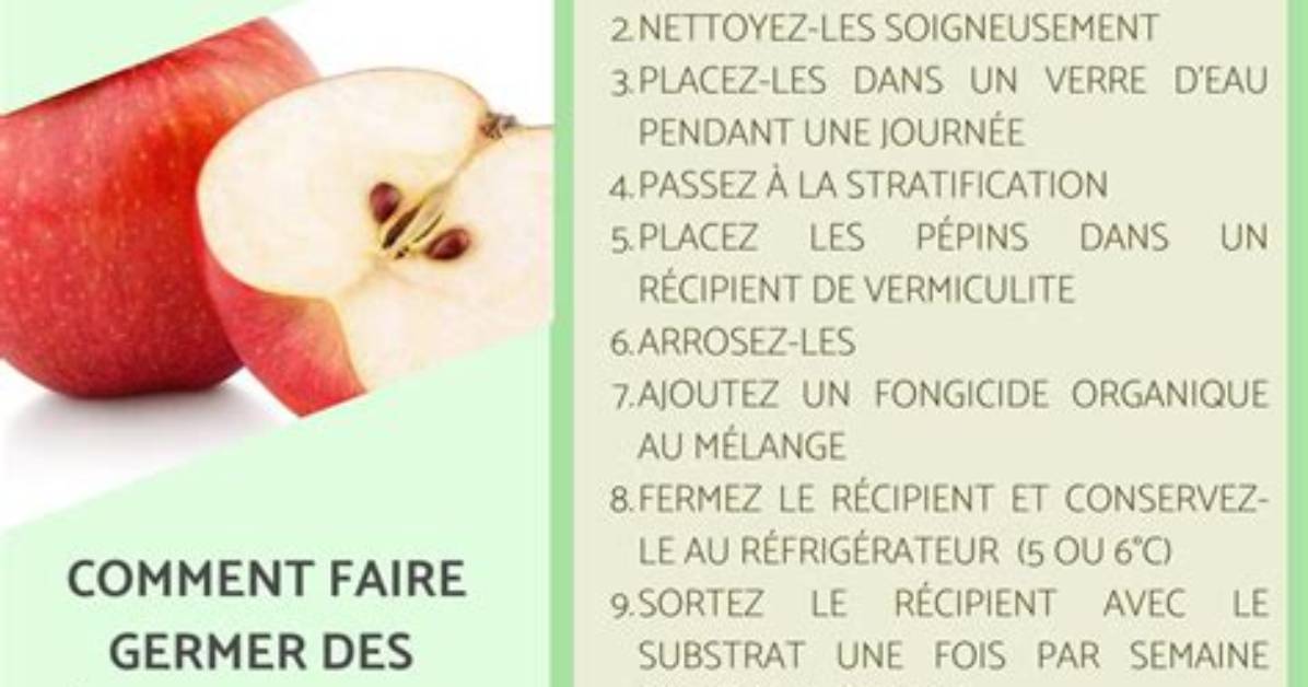 Pepin Qui Germe Dans La Pomme?
