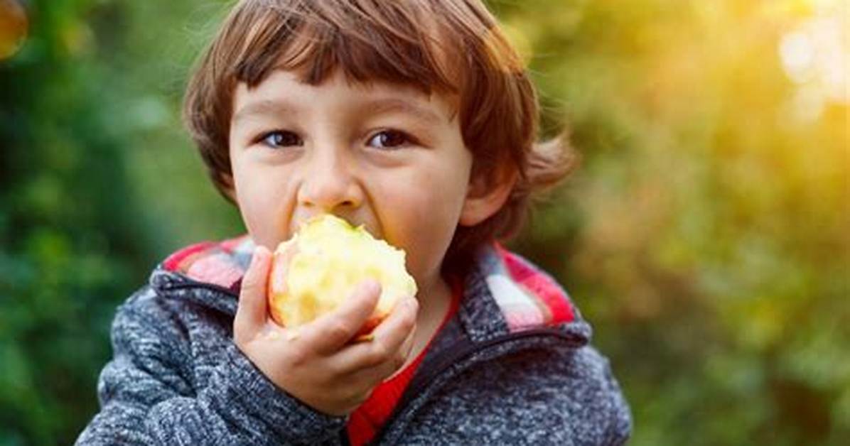 Peut on Manger Une Pomme Quand on a La Gastro?