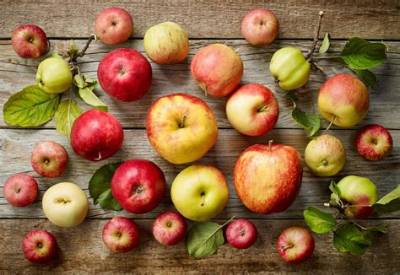 Pomme a Cuire Quelle Variete?