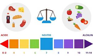 Pomme Acide Ou Basique?