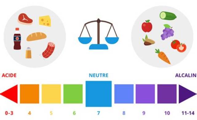Pomme Acide Ou Basique?