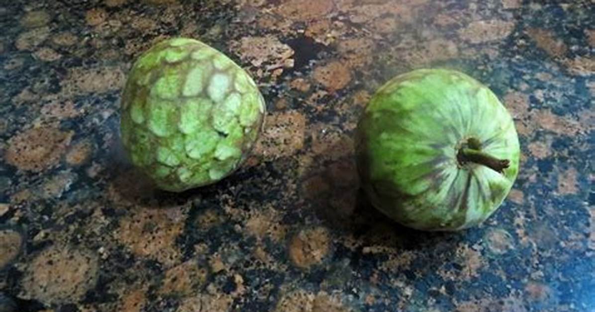 Pomme Cannelle Comment Manger?