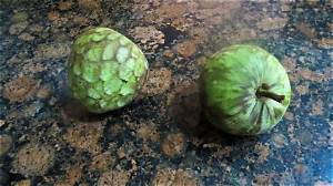 Pomme Cannelle Comment Manger?