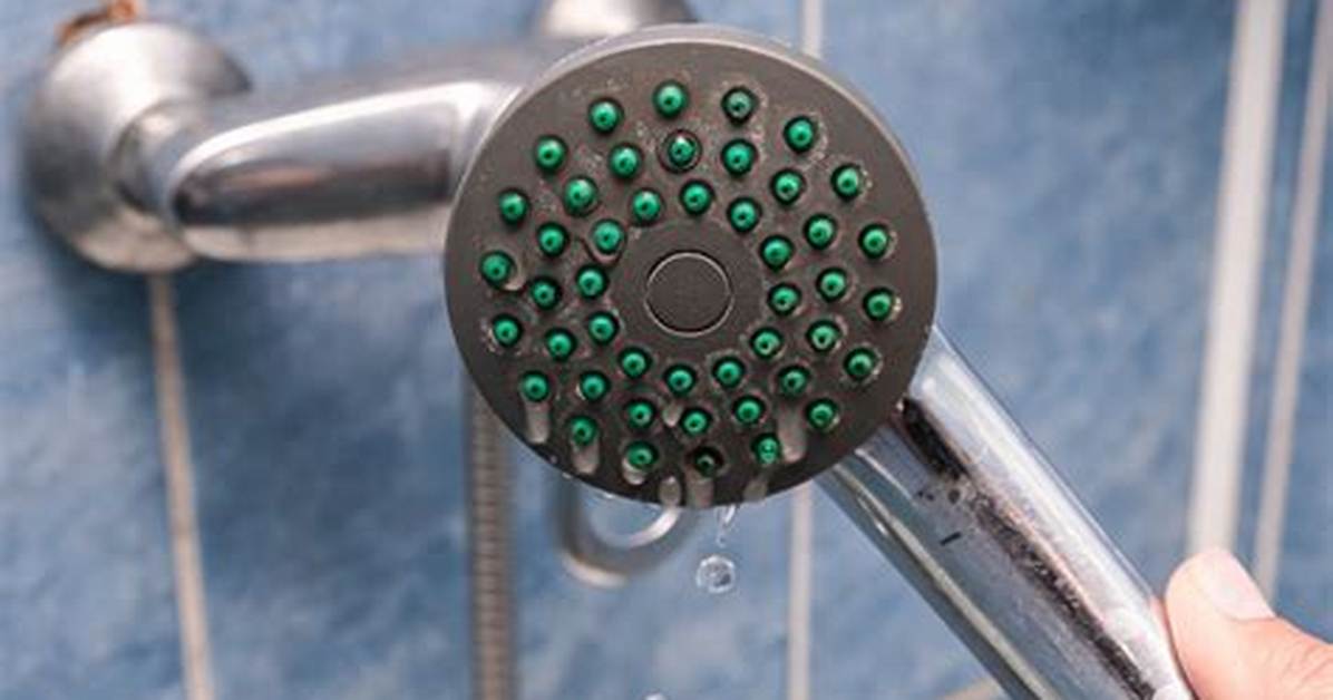 Pomme De Douche Qui Fuit?
