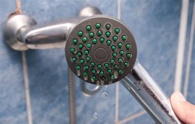 Pomme De Douche Qui Fuit?