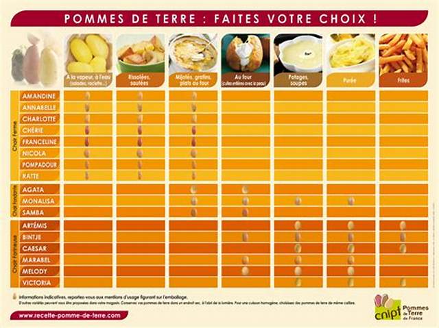 Pomme De Terre Agata Pour Quelle Utilisation?
