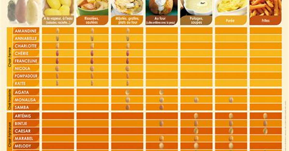 Pomme De Terre Agata Quelle Utilisation?
