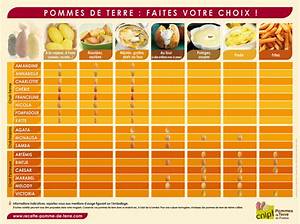 Pomme De Terre Agata Quelle Utilisation?