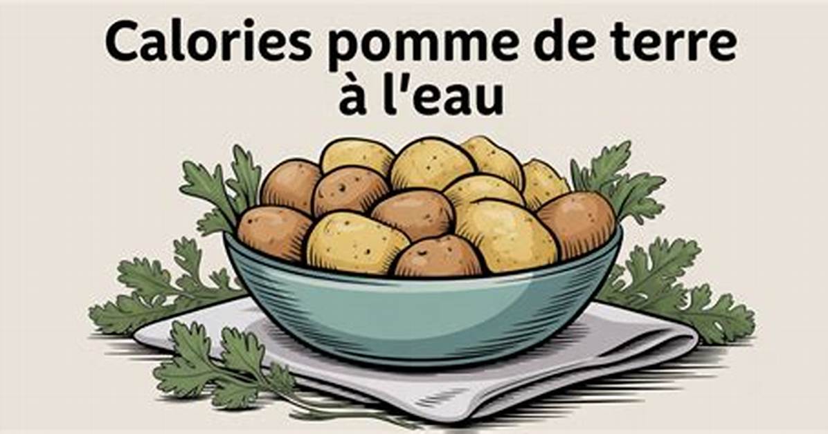 Pomme De Terre %C3%80 L Eau Avec 400. Jpg