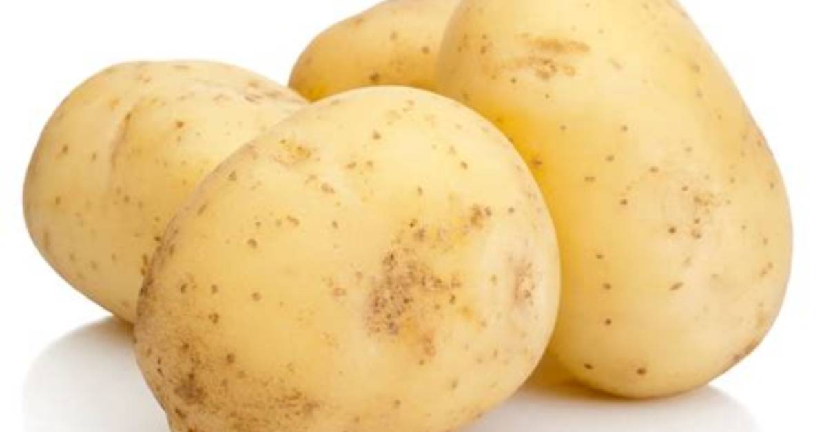 Pomme De Terre F%C3%A9Culent Ou Pas 400. Jpg