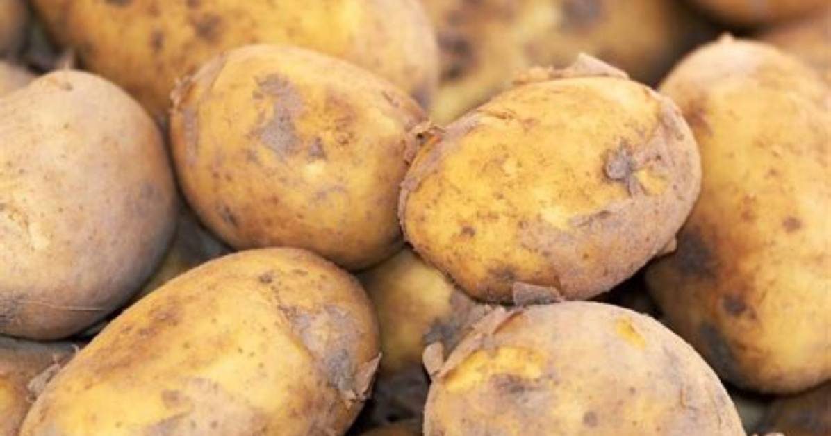 Pomme De Terre Gluten Ou Non?