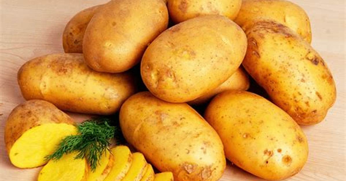 Pomme De Terre Legume Racine Ou Feuille?