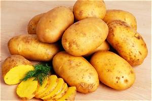 Pomme De Terre Legume Racine Ou Feuille?