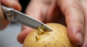 Pomme De Terre Molle Bonne Ou Pas?