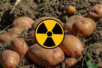 Pomme De Terre Qui Devient Verte?