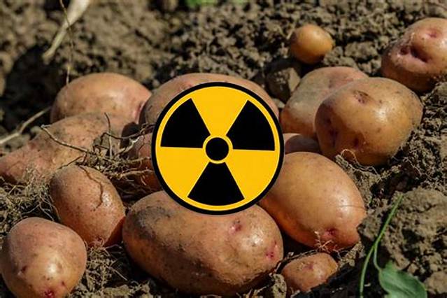 Pomme De Terre Qui Devient Verte?