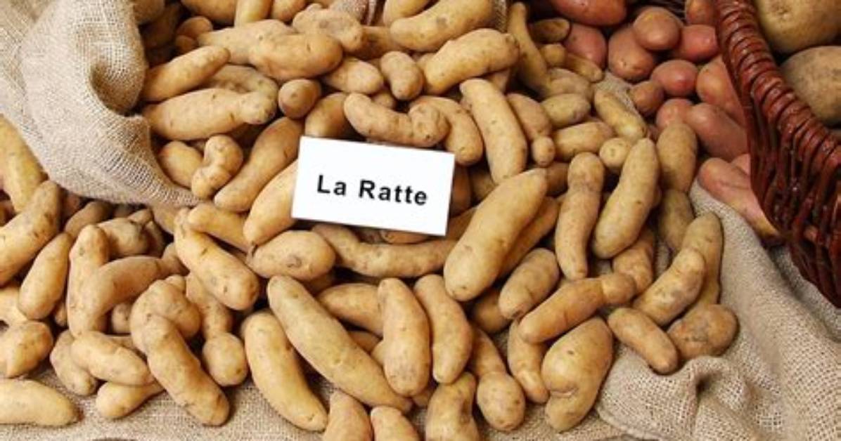 Pomme De Terre Ratte Avec Ou Sans Peau?