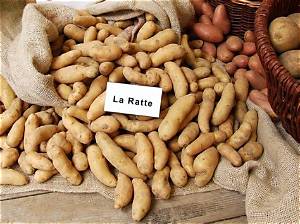 Pomme De Terre Ratte Avec Ou Sans Peau?