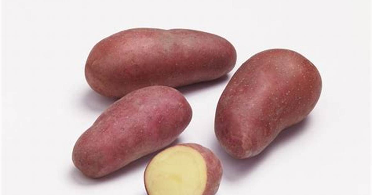 Pomme De Terre Rouge Ou Jaune?
