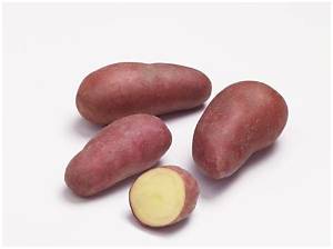 Pomme De Terre Rouge Ou Jaune?