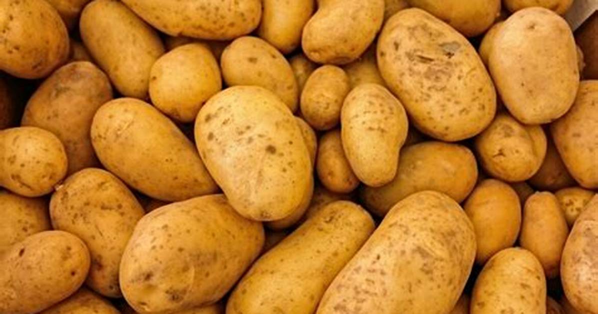 Pomme Farineuse Pourquoi?