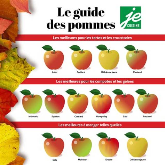 Pomme Quelle Saison?