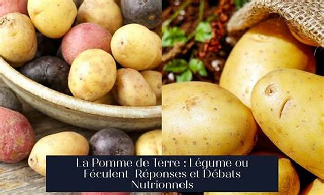 Pomme Terre Legume Ou Feculent?