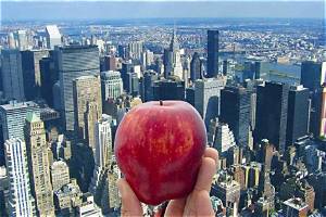 Pourquoi La Grosse Pomme Pour New York?