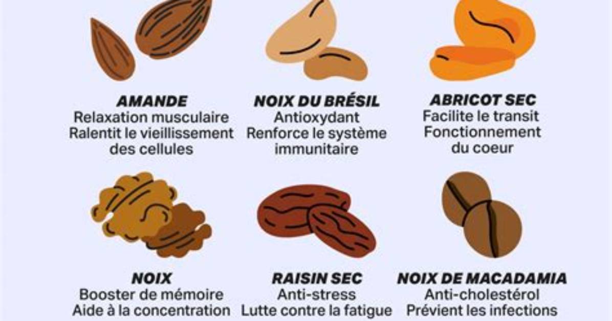 Pourquoi Les Fruits Secs Sont Plus Caloriques?